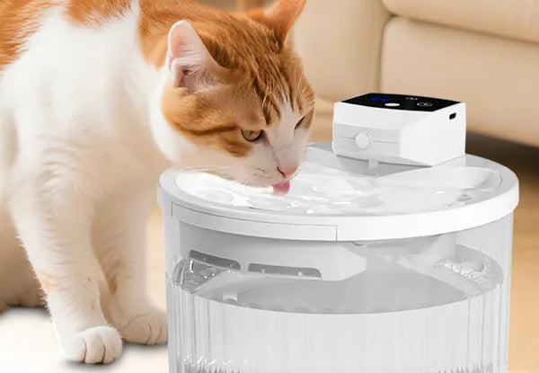 The Never-Empty Bowl in use — a cat drinking from the dish; the 2 L tank behind it does the storing